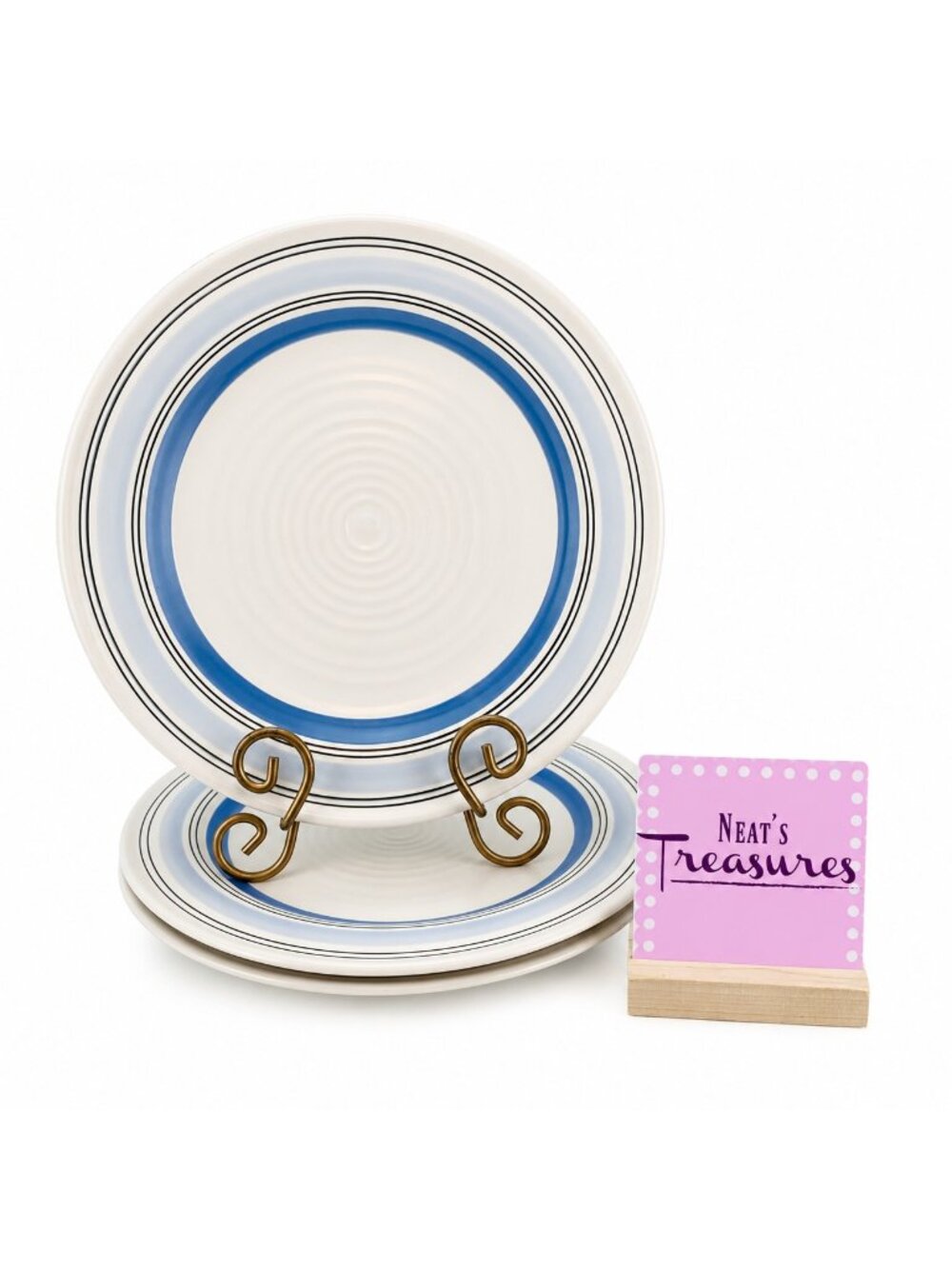 Pfaltzgraff RIO Stoneware Concentric Blue Band Cream Center Dinner Plates Set 3